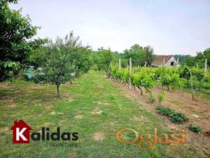 Šid, Lipovača, odličan plac sa vikendicom, vinogradom i voćnjakom