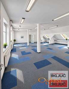 IZDAJE SE KUĆA ZA POSLOVNI PROSTOR 300 m2 + 50 m2 DVORIŠTE I 45 m2 TERASA - STROGI CENTAR