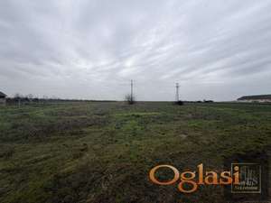 Budisava! Plac: 15.272 m2!