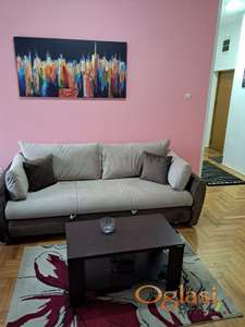 LEPO NAMEŠTEN, PET FRIENDLY DVOSOBAN STAN U ĆIRPANOVOJ ULICI