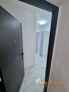 Drage Spasić, Liman 1, 55m2