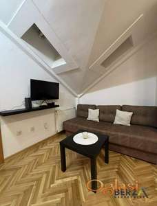  LEP JEDNOIPOSOBAN&nbsp; STAN ,PET FRIENDLY, NOVA DETLINARA