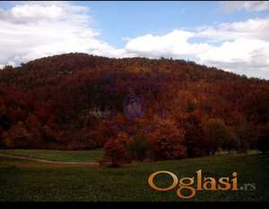 Odličan plac u Čajetini! 8406m2