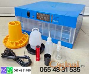 Inkubator za jaja ( 64 ) AUTOMACKI