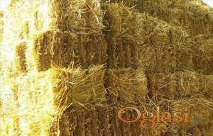 Žitna slama i Ovsena slama - BALE