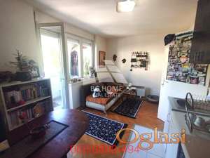 Garsonjera u Zemunu, Beogradska ID#3716