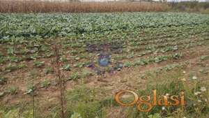 Odličan građevinski plac u Futogu!