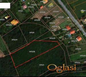 Prodaje se šumsko zemljište na opštini Barajevo-Batašina