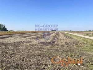 Poljoprivredno zemljište - Temerin