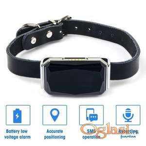 GPS traker za praćenje pasa