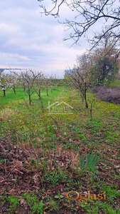 Grocka - Zaklopača -7ari ID#24994