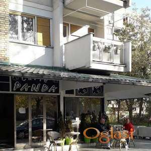 Razrađen kafić sa baštom – Liman 3, Novi Sad – 29 m², spreman za rad