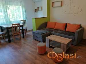 Izdaje se 40m2-Liman-odmah useljiv stan na duži period-350 evra