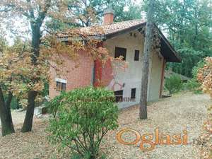 Vikendica okružena netaknutom prirodom – prava oaza mira, Kosmaj #V123 #1680