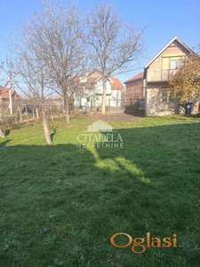 Ostružnica - Vojislava Đurića ID#2203