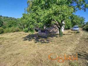 Lep plac u blizini Manastira Hopovo