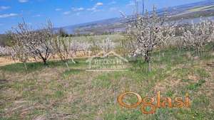 Grocka - Ritopek - 18a ID#24957