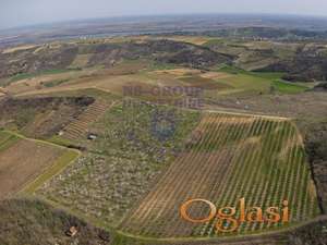 Plac 19896m2 Sremski Karlovci - Čerat