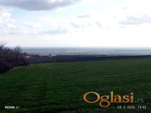 M.Remeta polj. zemljište 5000m2 pored Ruže Vetrova HITNO!