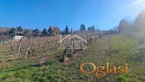 Grocka - Brestovik - 20ari ID#24864