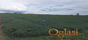 Fenomenalna parcela na magistralnom putu