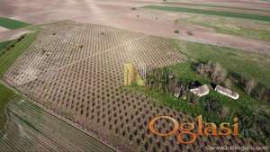 Žabalj – poljoprivredno zemljište, voćnjak šljive 7,4ha sa uknjiženim stambenim objektom