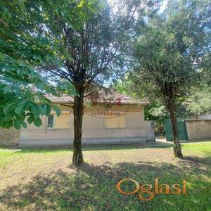 Srbobran, Kuća sa velikim placem od 1569 m2 sa puno zelenila