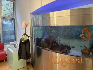 Izdaje se atraktivan ulični lokal na Socijalnom