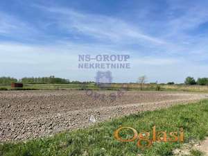 Prelep ravan plac na lepoj lokaciji u Lipovom gaju!