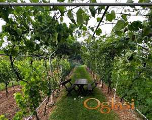 Vikendica 54m2 Vrdnik