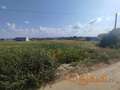 Plac u Futogu  1667m2
