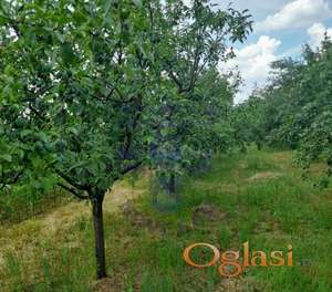 Poljoprivredno zemljište