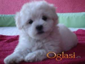 pudla