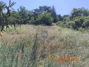 553244-Plac-1851m2-Sremska Kamenica