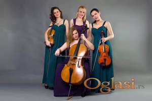 Gudacki kvartet Magic Strings