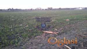 Odlican plac na Sajlovu