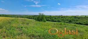 Vrdnik potes Brankovac polj. zemljište 18856m2 HITNO!