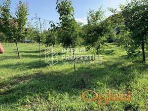 Prodaja placa - Boleč ID#1202