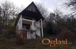 Fruška Gora - Vikendica sa šumom i vočnjakom! ID#8844