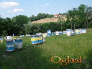 Prodajem pcelinja drustva na LR ramovima