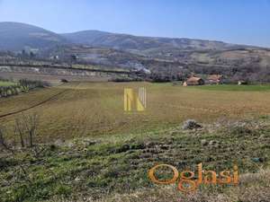 Na prodaju građevinsko zemljište – 15.361m2 – Beočin, Šakotinac