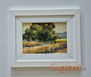 Ulje na medijapanu - Leto