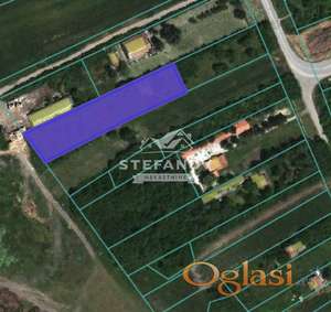 Njiva u Perlezu ID#1921