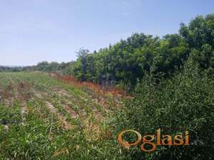 531483-  Predstavljamo Vam odličan plac na Klisi