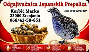 Paket, meso japanske prepelice i jaja