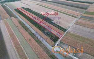 Zemljište  potezu Neradin-Irig