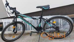 Capriolo Diavolo DX 600