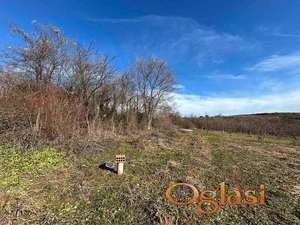 Fantastican plac na Iriskom vencu!