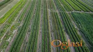 Prestiž Plant Nursery