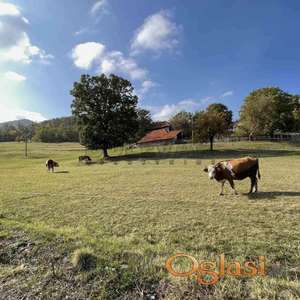 Plac Sremski Karlovci 2480m2
